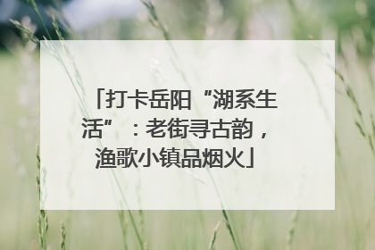 打卡岳阳“湖系生活”：老街寻古韵，渔歌小镇品烟火