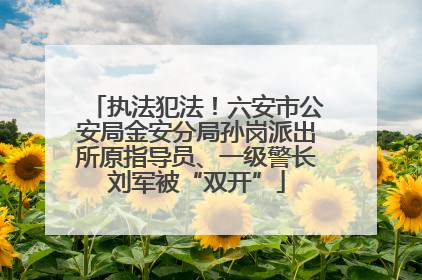 执法犯法！六安市公安局金安分局孙岗派出所原指导员、一级警长刘军被“双开”