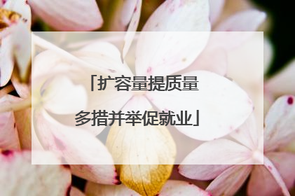 扩容量提质量 多措并举促就业