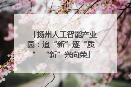 扬州人工智能产业园：追“新”逐“质” “新”兴向荣