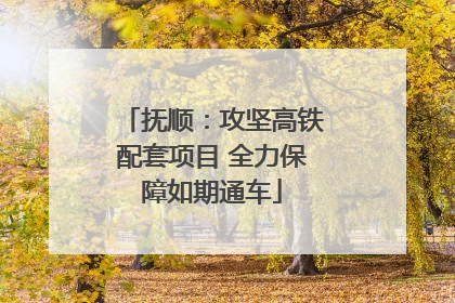 抚顺：攻坚高铁配套项目 全力保障如期通车