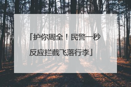 护你周全！民警一秒反应拦截飞落行李
