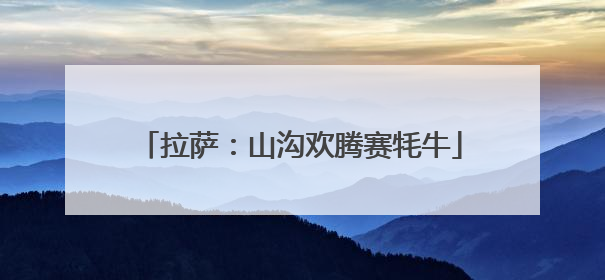 拉萨：山沟欢腾赛牦牛
