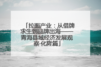 拉面产业：从借牌求生到品牌出海——青海县域经济发展观察·化隆篇