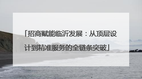 招商赋能临沂发展：从顶层设计到精准服务的全链条突破