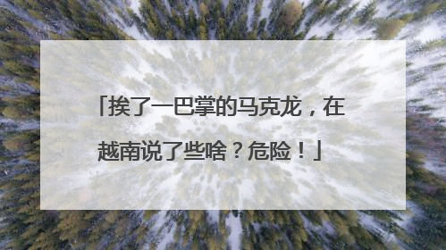 挨了一巴掌的马克龙，在越南说了些啥？危险！
