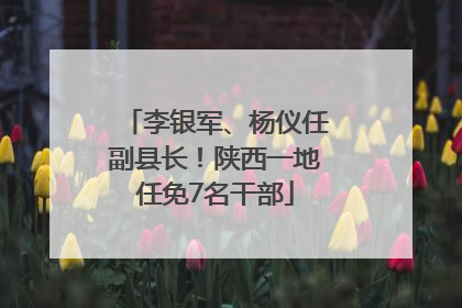 李银军、杨仪任副县长！陕西一地任免7名干部