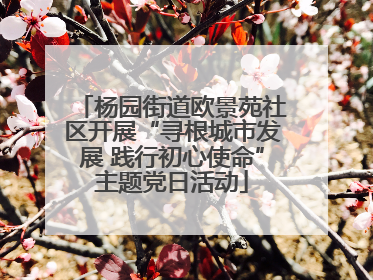 杨园街道欧景苑社区开展“寻根城市发展 践行初心使命”主题党日活动