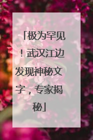 极为罕见！武汉江边发现神秘文字，专家揭秘