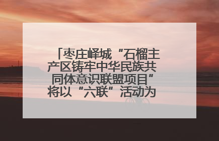枣庄峄城“石榴主产区铸牢中华民族共同体意识联盟项目”将以“六联”活动为抓手深化品牌建设