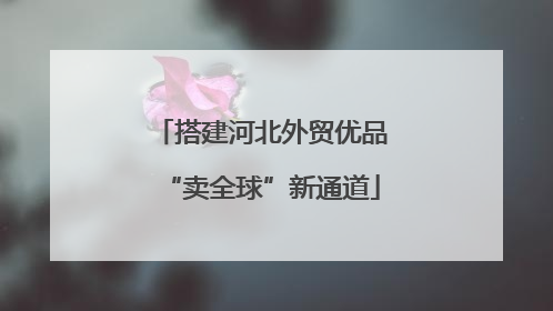 搭建河北外贸优品“卖全球”新通道