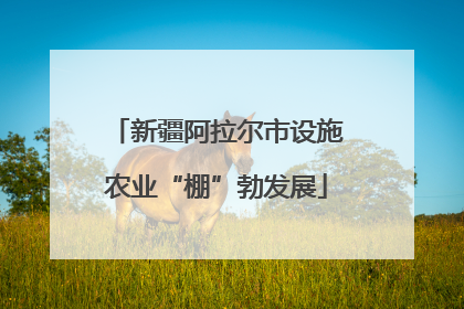 新疆阿拉尔市设施农业“棚”勃发展