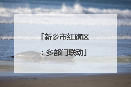 新乡市红旗区：多部门联动