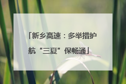 新乡高速：多举措护航“三夏”保畅通