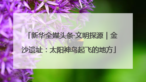 新华全媒头条·文明探源｜金沙遗址：太阳神鸟起飞的地方