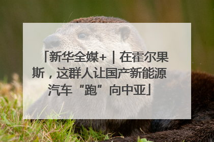新华全媒+｜在霍尔果斯，这群人让国产新能源汽车“跑”向中亚