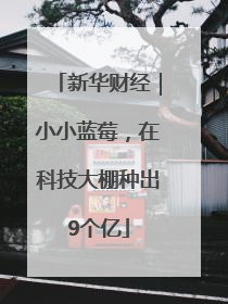 新华财经｜小小蓝莓，在科技大棚种出9个亿