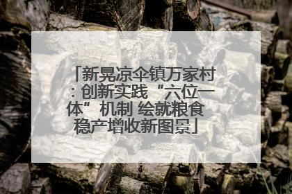 新晃凉伞镇万家村：创新实践“六位一体”机制 绘就粮食稳产增收新图景