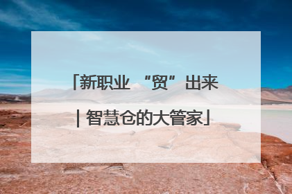 新职业 “贸”出来｜智慧仓的大管家