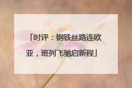 时评：钢铁丝路连欧亚，班列飞驰启新程