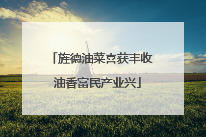 旌德油菜喜获丰收 油香富民产业兴