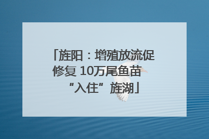 旌阳：增殖放流促修复 10万尾鱼苗“入住”旌湖