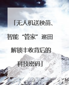 无人机送秧苗、智能“管家”巡田 解锁丰收背后的科技密码