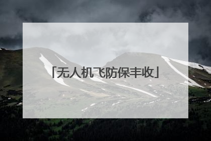 无人机飞防保丰收