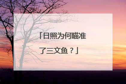 日照为何瞄准了三文鱼？