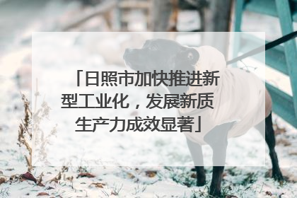 日照市加快推进新型工业化，发展新质生产力成效显著