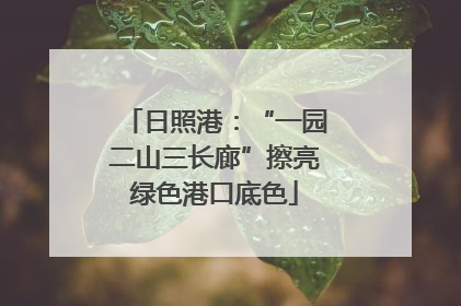 日照港：“一园二山三长廊”擦亮绿色港口底色