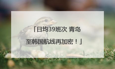 日均39班次 青岛至韩国航线再加密！