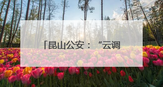 昆山公安：“云调解2.0”跑出矛盾化解“加速度”