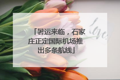 暑运来临，石家庄正定国际机场推出多条航线