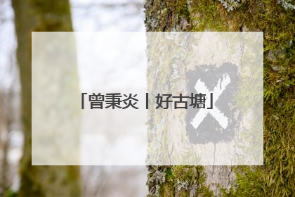 曾秉炎丨好古塘