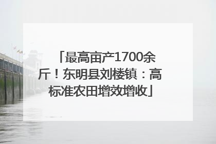 最高亩产1700余斤！东明县刘楼镇：高标准农田增效增收