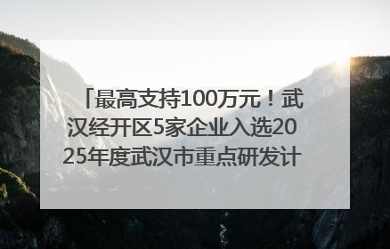 最高支持100万元！武汉经开区5家企业入选2025年度武汉市重点研发计划拟立项项目名单