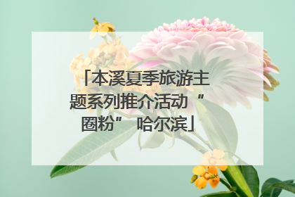 本溪夏季旅游主题系列推介活动“圈粉” 哈尔滨
