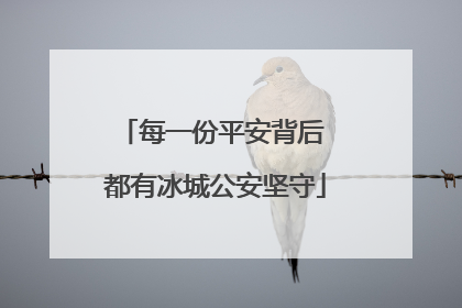 每一份平安背后 都有冰城公安坚守