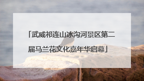 武威祁连山冰沟河景区第二届马兰花文化嘉年华启幕