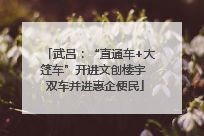 武昌：“直通车+大篷车”开进文创楼宇 双车并进惠企便民