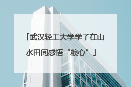 武汉轻工大学学子在山水田间感悟“粮心”