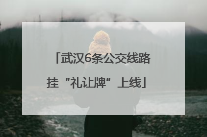武汉6条公交线路挂“礼让牌”上线