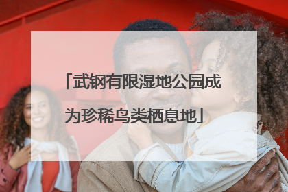 武钢有限湿地公园成为珍稀鸟类栖息地