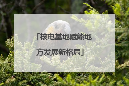 核电基地赋能地方发展新格局