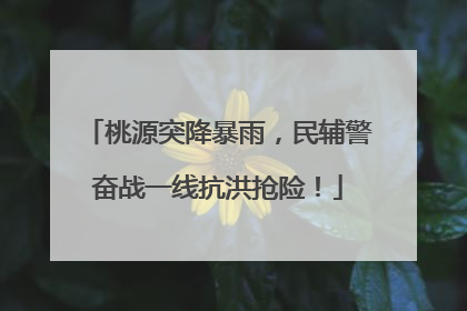 桃源突降暴雨，民辅警奋战一线抗洪抢险！