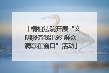 桐柏法院开展“文明服务我出彩 群众满意在窗口”活动