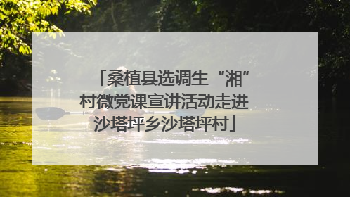 桑植县选调生“湘”村微党课宣讲活动走进沙塔坪乡沙塔坪村