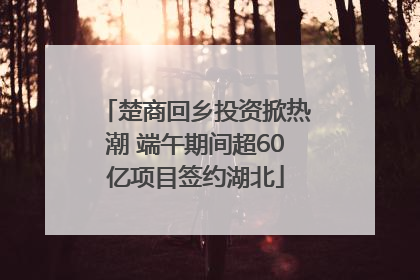 楚商回乡投资掀热潮 端午期间超60亿项目签约湖北