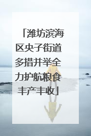 潍坊滨海区央子街道多措并举全力护航粮食丰产丰收